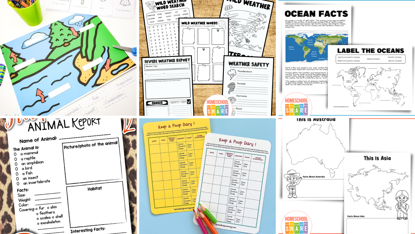 3rd Grade Science Worksheets for Engaging Science Learning
