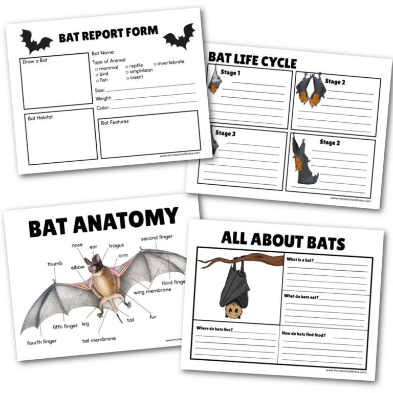 3rd Grade Science Worksheets for Engaging Science Learning