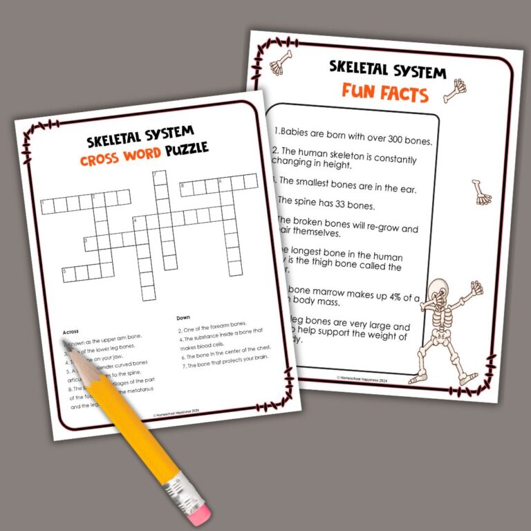 Skeletal System Worksheets for Kids - Homeschool Happiness
