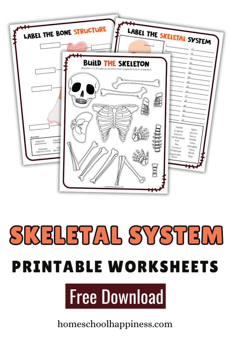 Skeletal System Worksheets for Kids - Homeschool Happiness