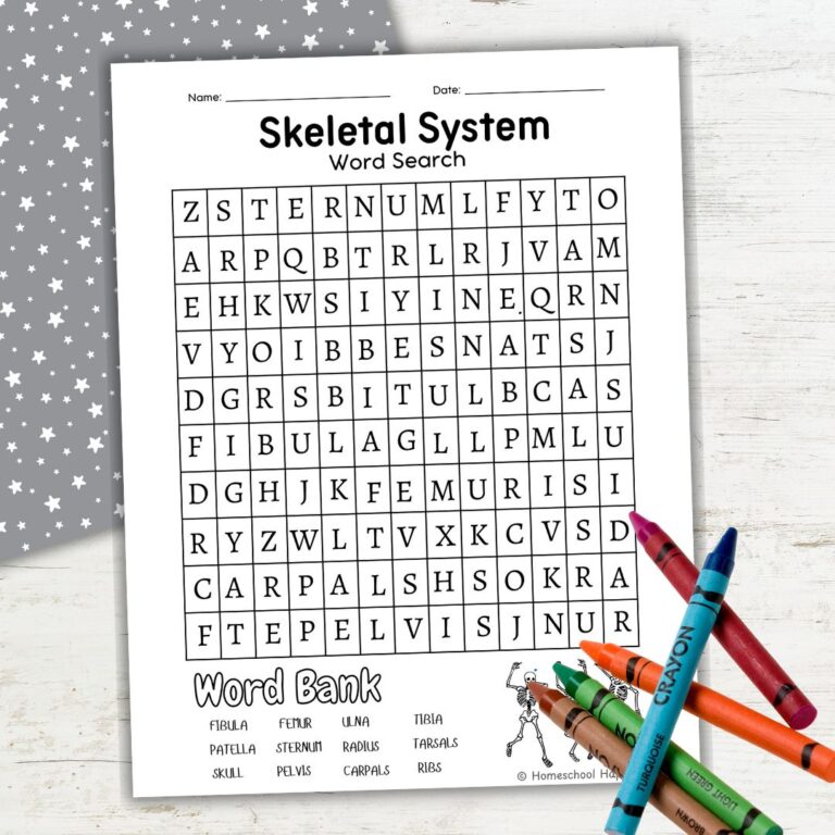 Free Printable Map Skills Worksheets for Homeschool