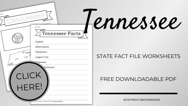 Image for Tennessee State Fact File Worksheets