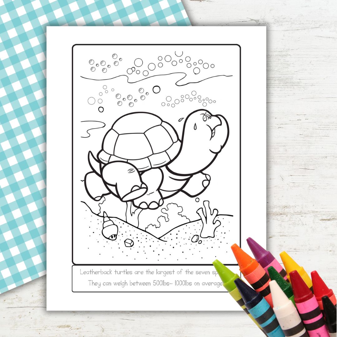 Sea Turtle Facts for Kids – Free Homeschool Worksheets