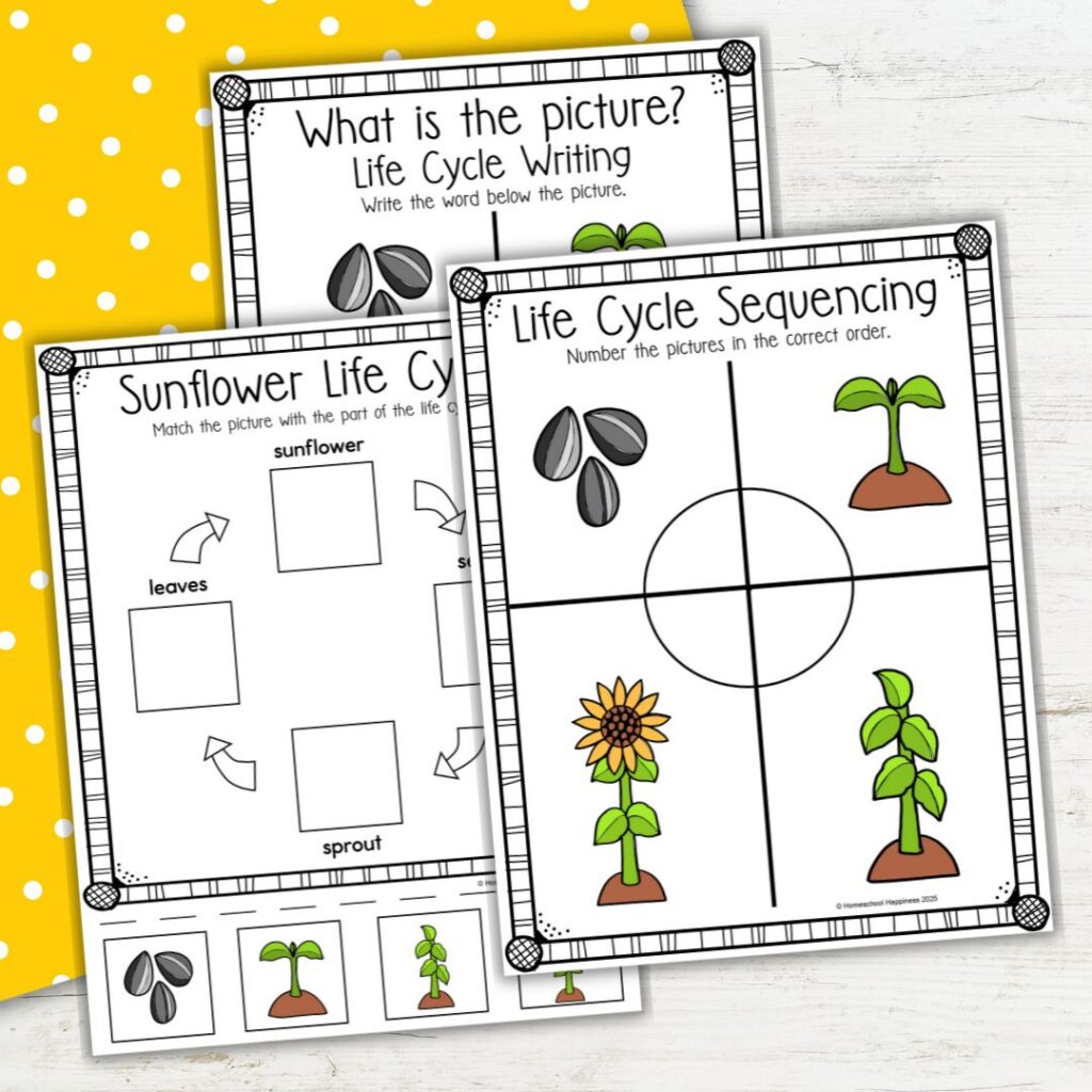 Free Continent Worksheets For Kids Fun Geography Printables