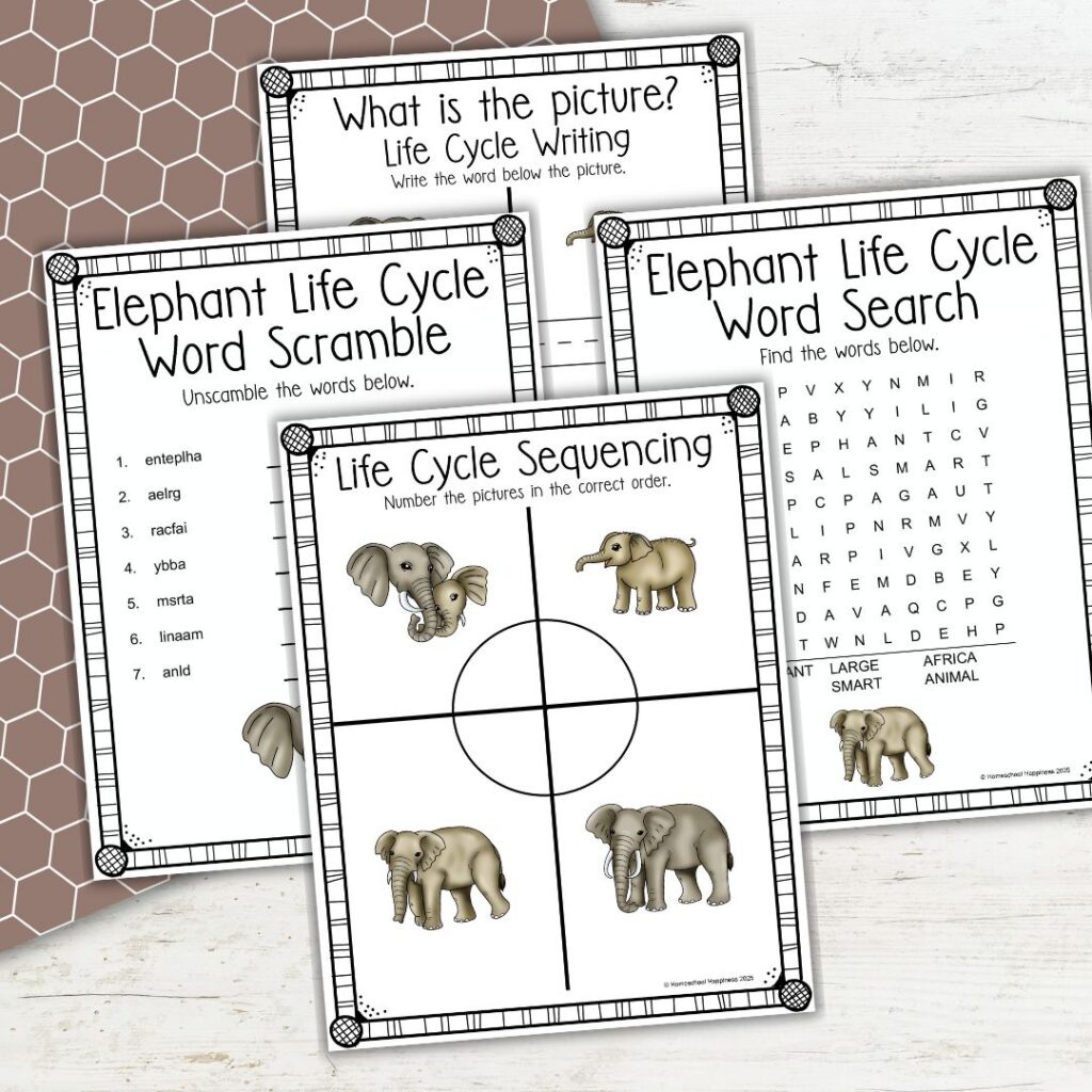 Free Continent Worksheets For Kids Fun Geography Printables