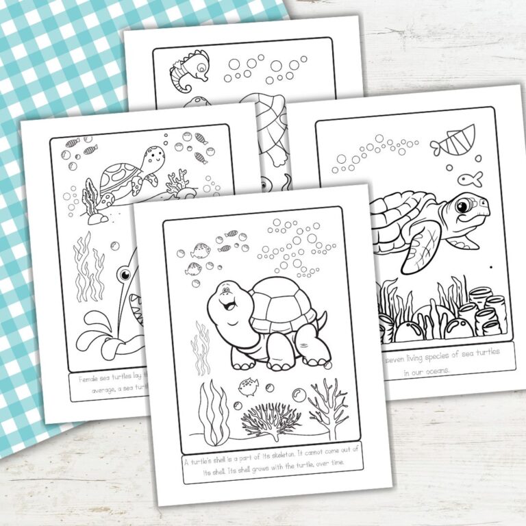 Sea Turtle Facts for Kids – Free Homeschool Worksheets