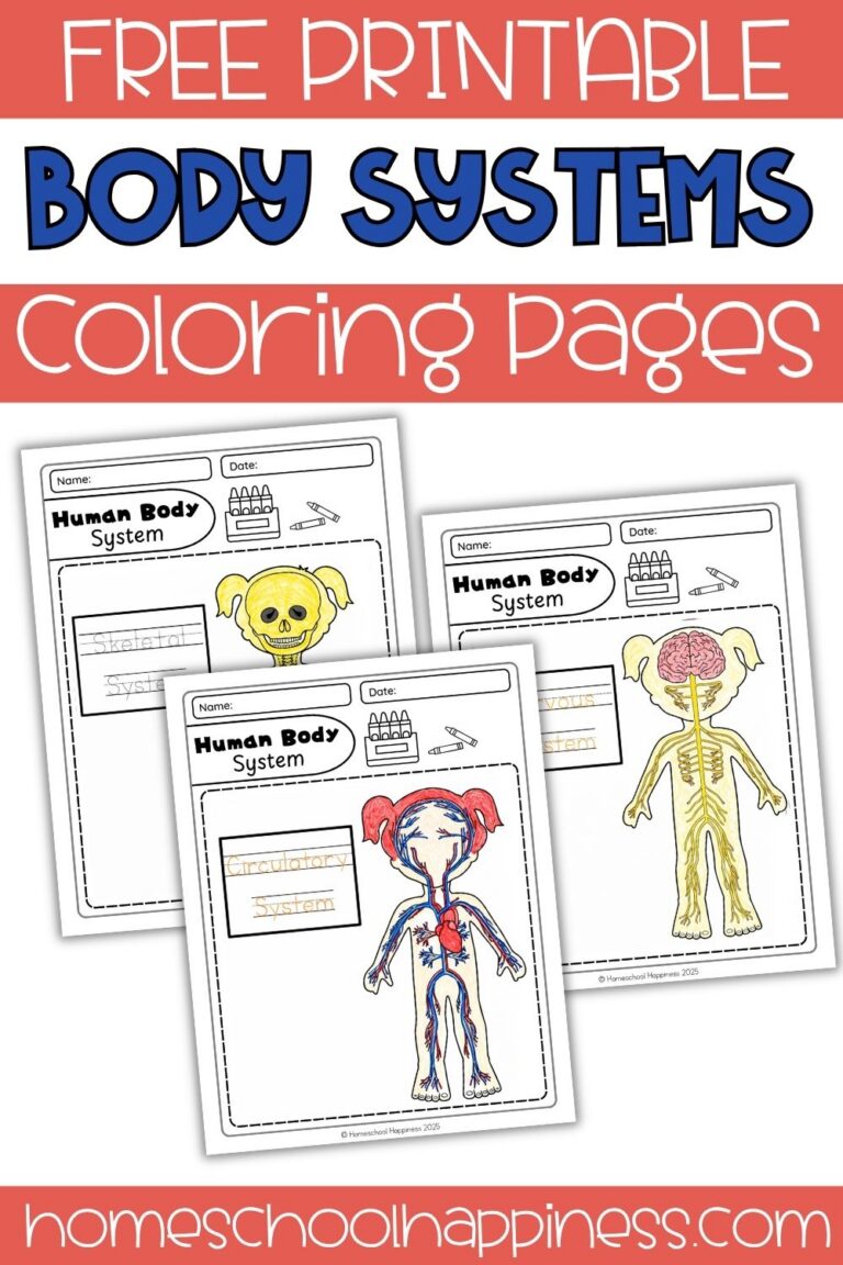 Human Body Systems Coloring Pages for Homeschool Science