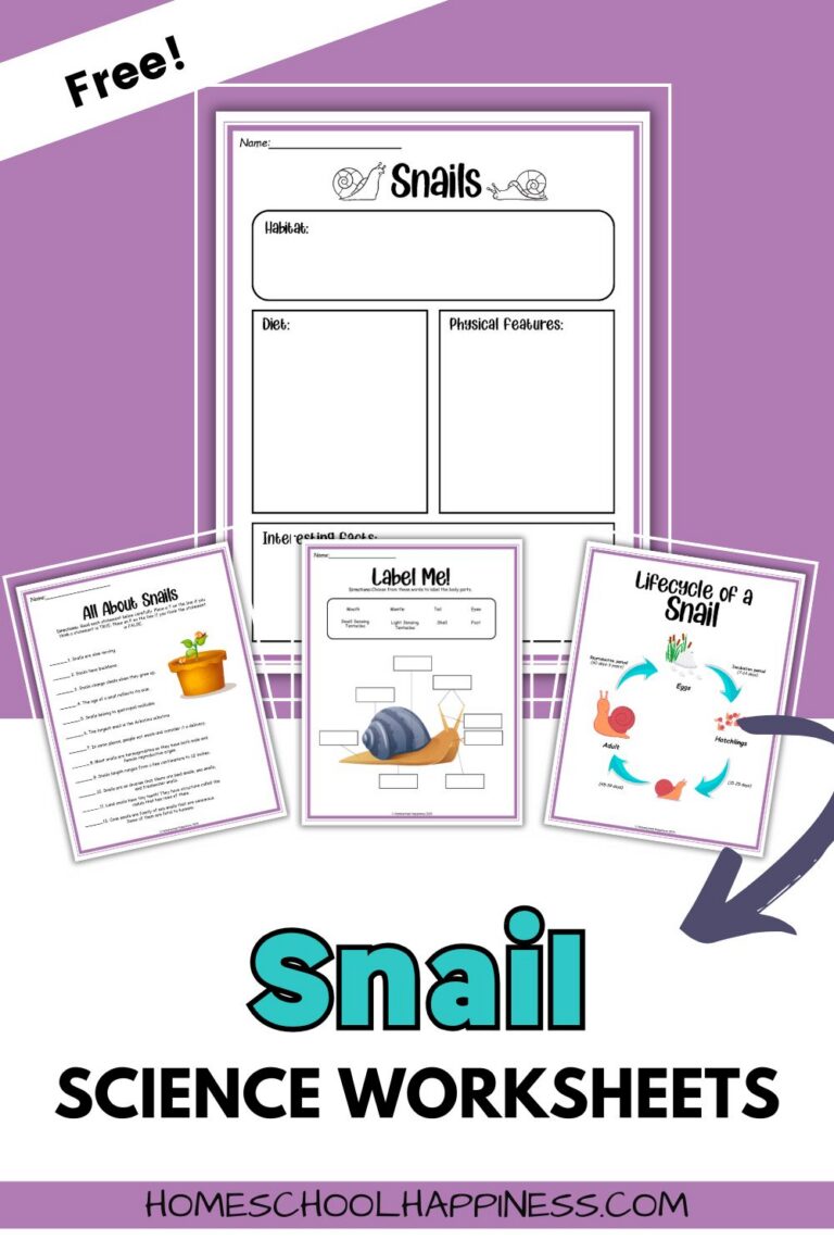 Snail Math Worksheet Snail Worksheets for Kids – Fun Homeschool Science Printables