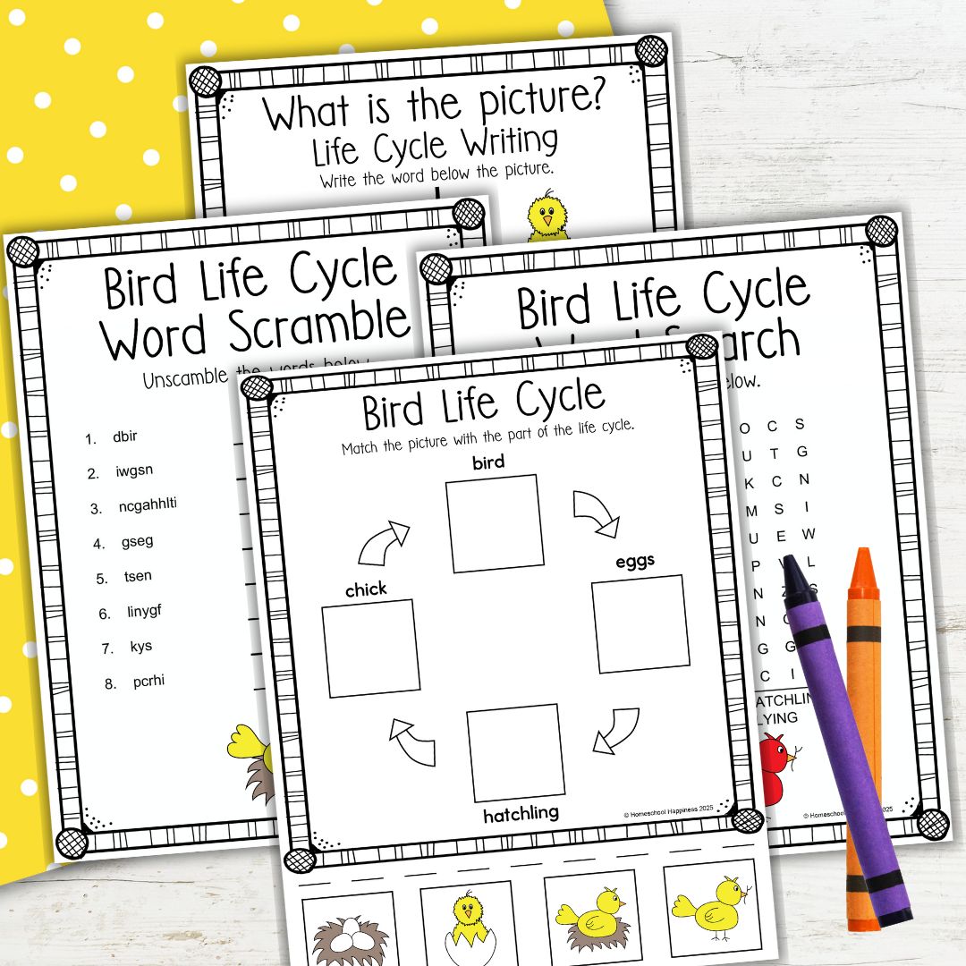 Free Continent Worksheets For Kids Fun Geography Printables