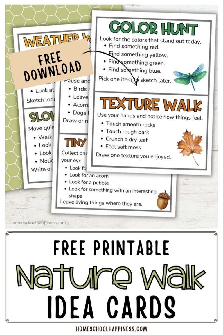Simple Nature Walk Ideas for Your Fall Morning Basket